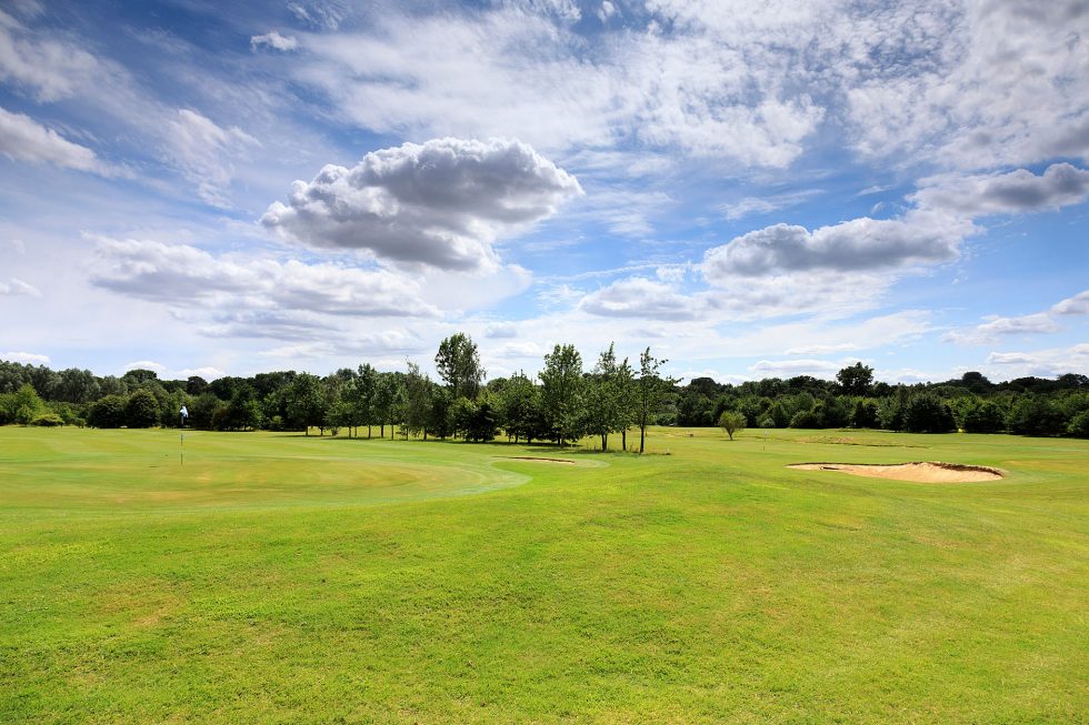 Walpole Meadows